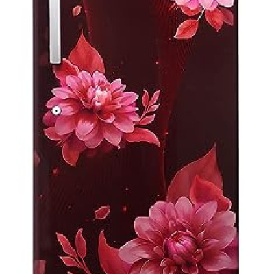 Lloyd 225 L 2 Star Direct Cool Single Door Refrigerator (GLDC242SBWT2PB, Begonia Wine)