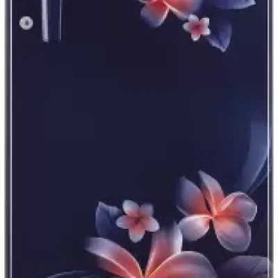 LG 190 L Direct Cool Single Door 2 Star Refrigerator with Base Drawer  (Blue Plumeria, GL-D199OBPC)