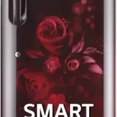 LG 224 L Direct Cool Single Door 4 Star Refrigerator with Smart Inverter Compressor (Scarlet Euphoria, GL-B241ASEY)
